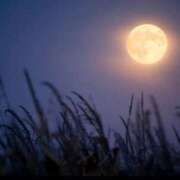 ヒメ日記 2025/10/05 16:30 投稿 小林 えり 30代40代50代と遊ぶなら博多人妻専科24時