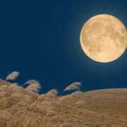 ヒメ日記 2025/10/08 07:15 投稿 小林 えり 30代40代50代と遊ぶなら博多人妻専科24時