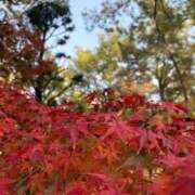 ヒメ日記 2025/12/20 07:28 投稿 小林 えり 30代40代50代と遊ぶなら博多人妻専科24時