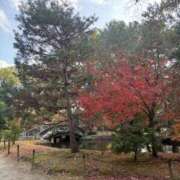 ヒメ日記 2025/12/21 10:30 投稿 小林 えり 30代40代50代と遊ぶなら博多人妻専科24時