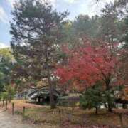 ヒメ日記 2025/12/21 10:49 投稿 小林 えり 30代40代50代と遊ぶなら博多人妻専科24時