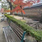 ヒメ日記 2025/12/22 07:15 投稿 小林 えり 30代40代50代と遊ぶなら博多人妻専科24時