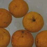 ヒメ日記 2025/12/23 07:17 投稿 小林 えり 30代40代50代と遊ぶなら博多人妻専科24時