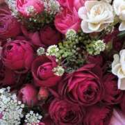 ヒメ日記 2026/01/31 21:04 投稿 小林 えり 30代40代50代と遊ぶなら博多人妻専科24時