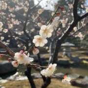 ヒメ日記 2026/02/02 07:24 投稿 小林 えり 30代40代50代と遊ぶなら博多人妻専科24時