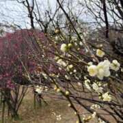 ヒメ日記 2026/02/08 10:39 投稿 小林 えり 30代40代50代と遊ぶなら博多人妻専科24時