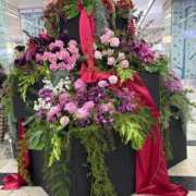 ヒメ日記 2026/02/15 07:16 投稿 小林 えり 30代40代50代と遊ぶなら博多人妻専科24時