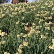 ヒメ日記 2026/02/18 12:15 投稿 小林 えり 30代40代50代と遊ぶなら博多人妻専科24時