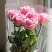 ヒメ日記 2026/02/28 21:16 投稿 小林 えり 30代40代50代と遊ぶなら博多人妻専科24時