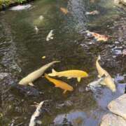 ヒメ日記 2026/03/04 07:20 投稿 小林 えり 30代40代50代と遊ぶなら博多人妻専科24時