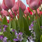 ヒメ日記 2026/04/06 07:24 投稿 小林 えり 30代40代50代と遊ぶなら博多人妻専科24時