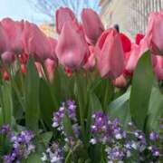 ヒメ日記 2026/04/09 07:25 投稿 小林 えり 30代40代50代と遊ぶなら博多人妻専科24時