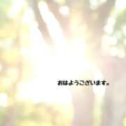 ヒメ日記 2026/09/22 07:17 投稿 小林 えり 30代40代50代と遊ぶなら博多人妻専科24時