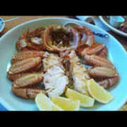 ヒメ日記 2026/01/31 14:50 投稿 ロッテ ブロンドワールド