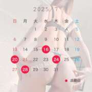 ヒメ日記 2025/07/08 06:20 投稿 Makoto PROPORTION