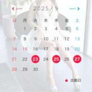 ヒメ日記 2025/08/28 23:27 投稿 Makoto PROPORTION