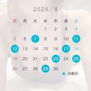 ヒメ日記 2026/03/25 20:57 投稿 Makoto PROPORTION