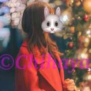 ヒメ日記 2024/12/12 13:00 投稿 ちはや ANNEX（アネックス）