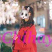 ヒメ日記 2024/12/16 17:40 投稿 ちはや ANNEX（アネックス）