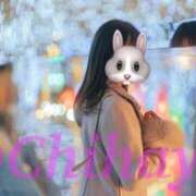 ヒメ日記 2024/12/19 10:50 投稿 ちはや ANNEX（アネックス）