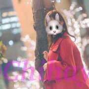 ヒメ日記 2024/12/22 21:15 投稿 ちはや ANNEX（アネックス）