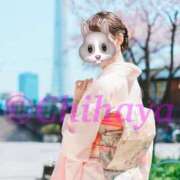 ヒメ日記 2024/12/29 22:52 投稿 ちはや ANNEX（アネックス）