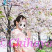 ヒメ日記 2025/01/17 14:57 投稿 ちはや ANNEX（アネックス）