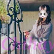 ヒメ日記 2025/01/23 12:11 投稿 ちはや ANNEX（アネックス）