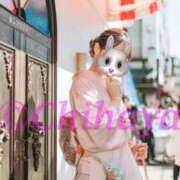 ヒメ日記 2025/01/28 11:00 投稿 ちはや ANNEX（アネックス）