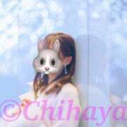 ヒメ日記 2025/03/19 11:01 投稿 ちはや ANNEX（アネックス）