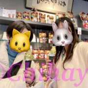 ヒメ日記 2025/03/31 19:57 投稿 ちはや ANNEX（アネックス）