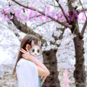 ヒメ日記 2025/04/05 23:01 投稿 ちはや ANNEX（アネックス）