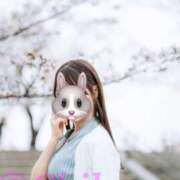 ヒメ日記 2025/04/06 23:43 投稿 ちはや ANNEX（アネックス）