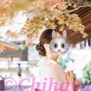 ヒメ日記 2025/04/22 13:20 投稿 ちはや ANNEX（アネックス）