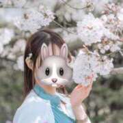 ヒメ日記 2025/04/23 23:00 投稿 ちはや ANNEX（アネックス）