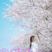 ヒメ日記 2025/04/24 12:18 投稿 ちはや ANNEX（アネックス）