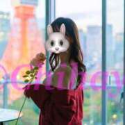 ヒメ日記 2025/05/09 11:27 投稿 ちはや ANNEX（アネックス）