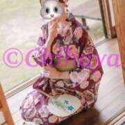 ヒメ日記 2025/06/03 11:22 投稿 ちはや ANNEX（アネックス）