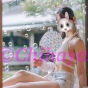 ヒメ日記 2025/07/08 10:45 投稿 ちはや ANNEX（アネックス）