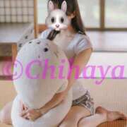 ヒメ日記 2025/07/13 23:34 投稿 ちはや ANNEX（アネックス）