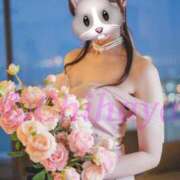 ヒメ日記 2025/07/30 23:02 投稿 ちはや ANNEX（アネックス）