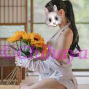 ヒメ日記 2025/08/13 10:30 投稿 ちはや ANNEX（アネックス）