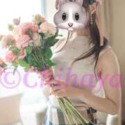 ヒメ日記 2025/09/22 11:01 投稿 ちはや ANNEX（アネックス）