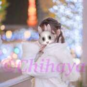 ヒメ日記 2025/12/10 08:38 投稿 ちはや ANNEX（アネックス）