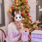 ヒメ日記 2025/12/12 09:20 投稿 ちはや ANNEX（アネックス）