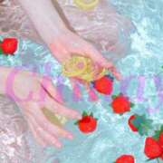 ヒメ日記 2025/12/13 12:45 投稿 ちはや ANNEX（アネックス）