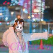 ヒメ日記 2025/12/20 23:30 投稿 ちはや ANNEX（アネックス）