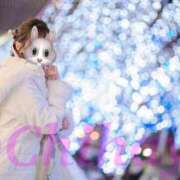 ヒメ日記 2025/12/29 09:46 投稿 ちはや ANNEX（アネックス）