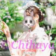 ヒメ日記 2026/01/06 13:56 投稿 ちはや ANNEX（アネックス）