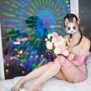 ヒメ日記 2026/01/12 23:35 投稿 ちはや ANNEX（アネックス）